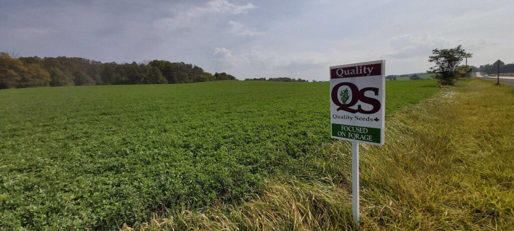A vast green field extends toward a forested area, featuring a "Quality Seeds" sign in the foreground, under a partly cloudy sky.