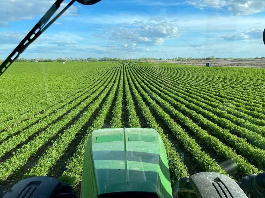 View from a tractor in a vast green field with rows of crops, blue sky, and distant trees, suggesting a rural agricultural setting.