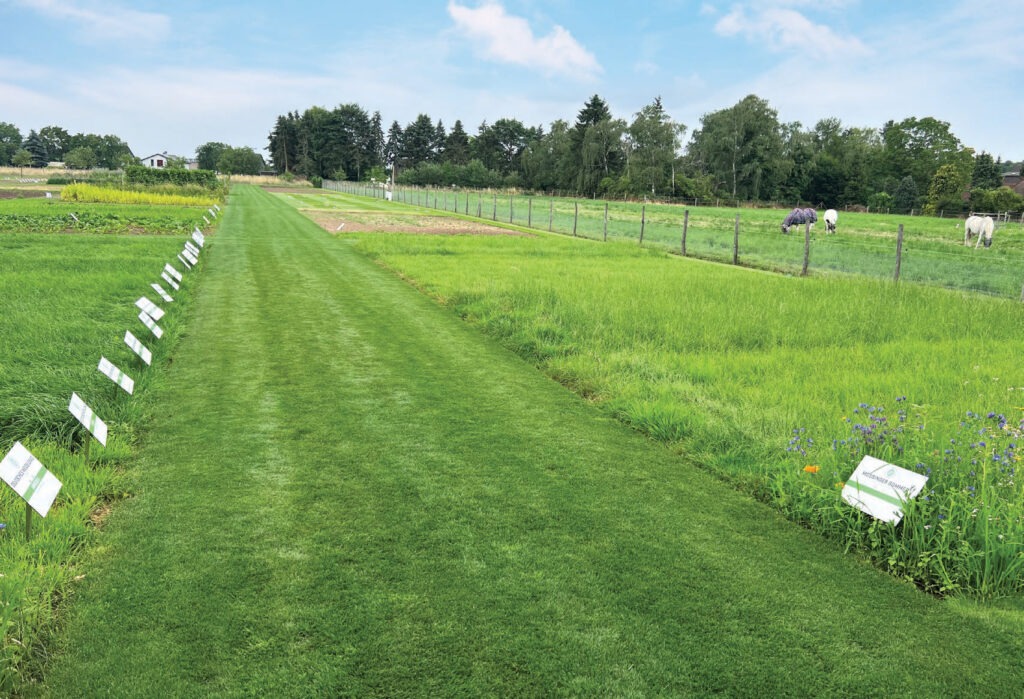 A grassy path flanked by signs runs through research plots and pastures with grazing animals, bordered by trees under a blue sky.
