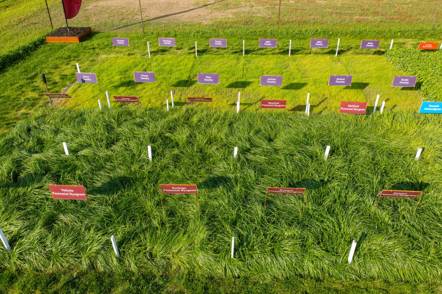 Quality Seeds | Canada’s Most Trusted Grass Seed Supplier
