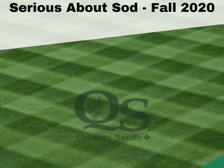 The image features a well-manicured, checkerboard-patterned sod field with the text "Serious About Sod - Fall 2020" and a "Quality Seeds" logo in the center.
