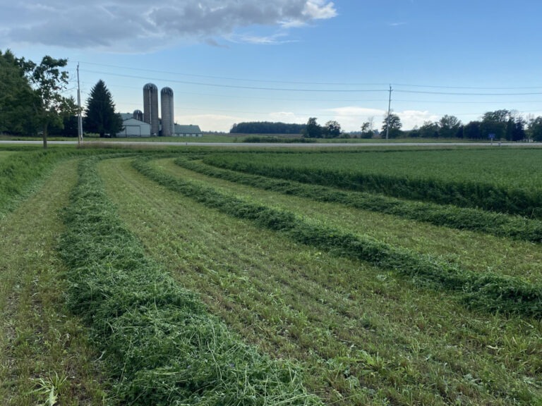 Quality Seeds | Canada’s Most Trusted Grass Seed Supplier