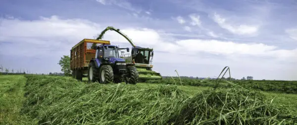Two tractors operate in a vast, green field under a clear blue sky, gathering freshly cut grass in an agricultural setting.