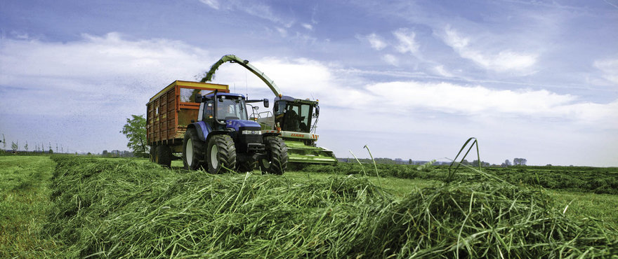 Two tractors operate in a vast, green field under a clear blue sky, gathering freshly cut grass in an agricultural setting.
