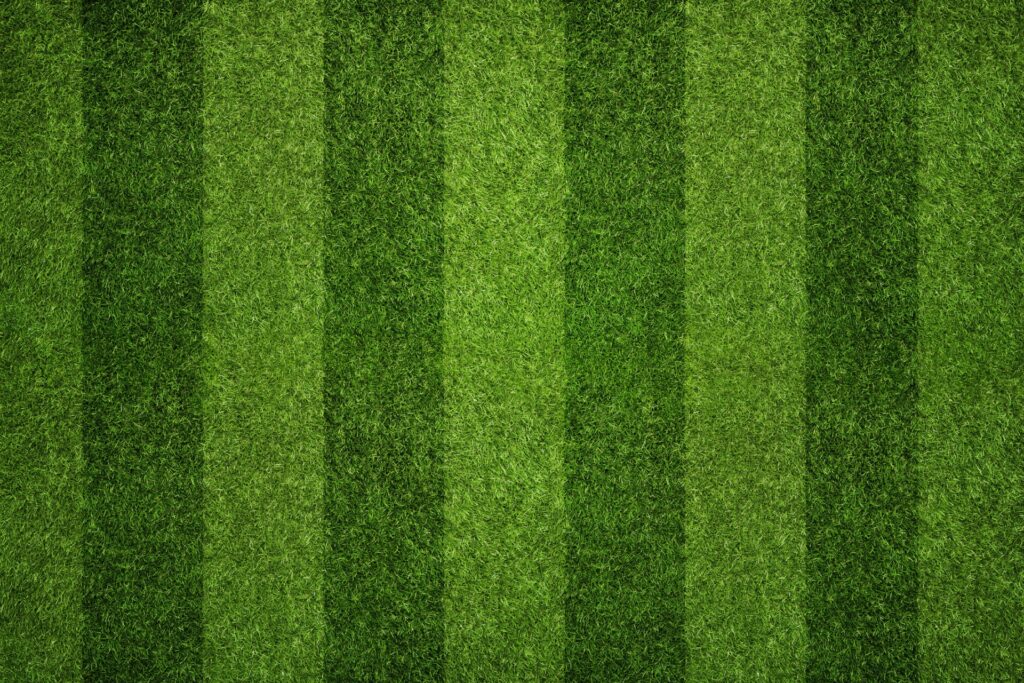 Aerial view of a freshly mowed lawn with alternating light and dark green stripes, indicating professional landscaping and maintenance.