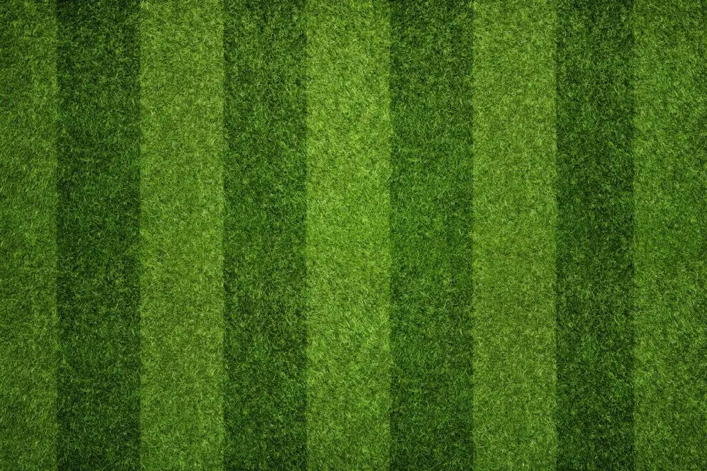 Aerial view of a freshly mowed lawn with alternating light and dark green stripes, indicating professional landscaping and maintenance.