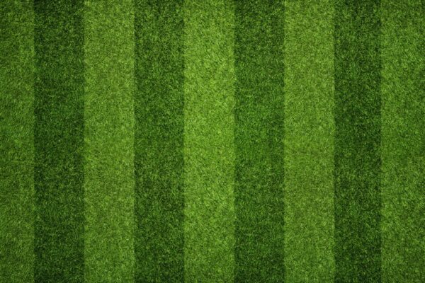 Aerial view of a freshly mowed lawn with alternating light and dark green stripes, indicating professional landscaping and maintenance.