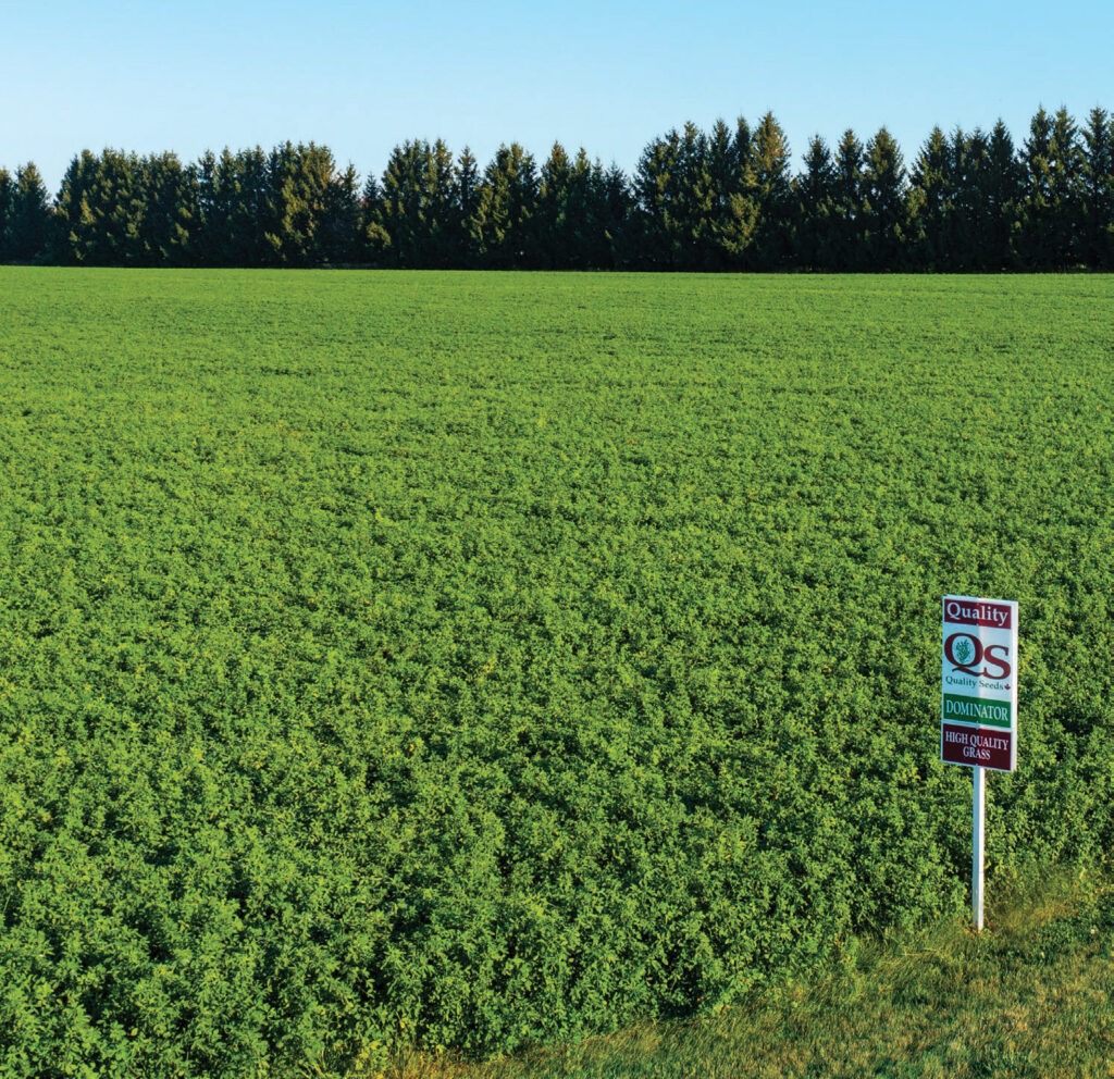 A sprawling lush green field stretches toward a line of dense trees under a clear blue sky, marked by a "Quality Seeds" sign.
