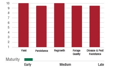 The image shows a bar graph comparing yield, persistence, regrowth, forage quality, and disease & pest resistance, with early maturity scored high across all categories.