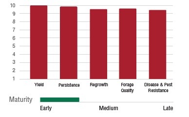 The image shows a bar graph comparing yield, persistence, regrowth, forage quality, and disease & pest resistance of a plant variety with early maturity.